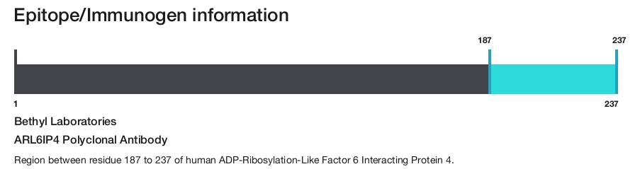 ARL6IP4 Polyclonal Antibody