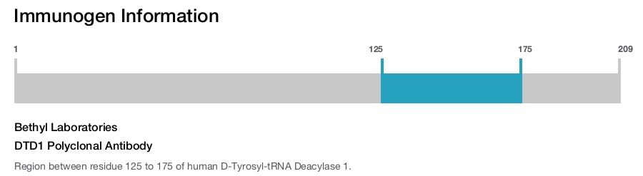 DTD1 Polyclonal Antibody