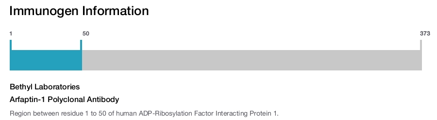 Arfaptin-1 Polyclonal Antibody