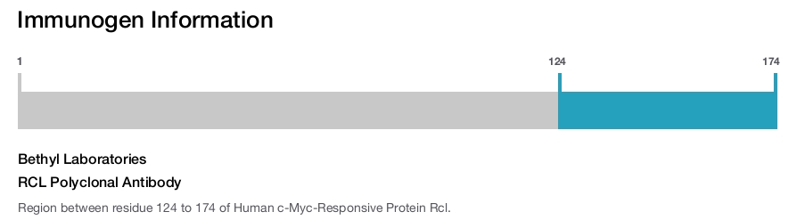 RCL Polyclonal Antibody
