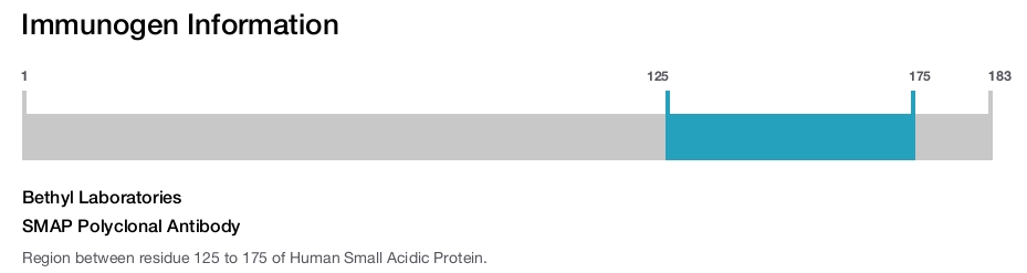 SMAP Polyclonal Antibody