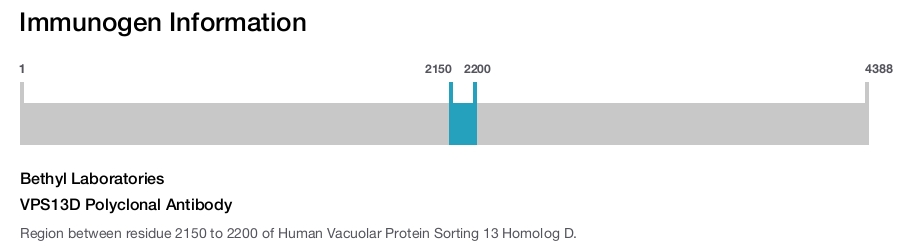 VPS13D Polyclonal Antibody