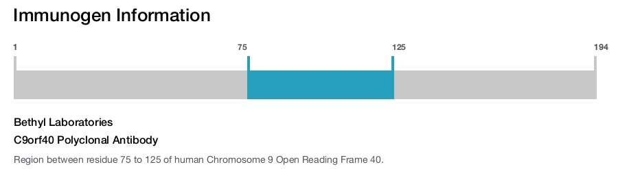 C9orf40 Polyclonal Antibody