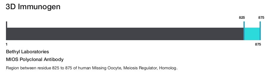 MIOS Polyclonal Antibody