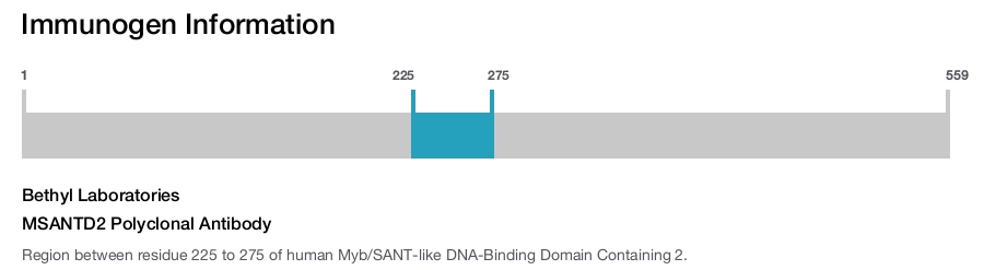 MSANTD2 Polyclonal Antibody