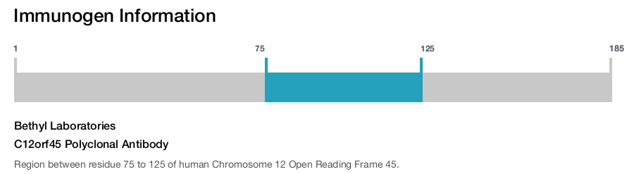 C12orf45 Polyclonal Antibody
