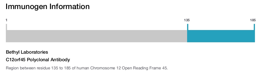 C12orf45 Polyclonal Antibody