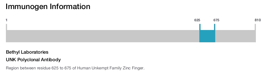 UNK Polyclonal Antibody