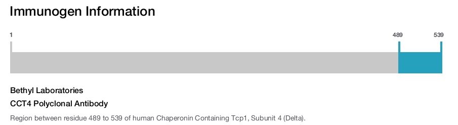 CCT4 Polyclonal Antibody