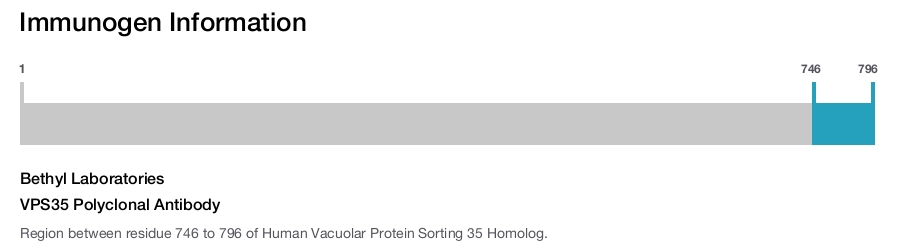 VPS35 Polyclonal Antibody