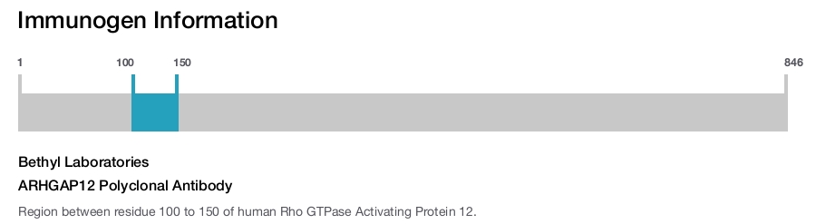 ARHGAP12 Polyclonal Antibody