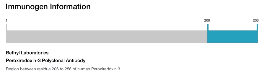 Peroxiredoxin-3 Polyclonal Antibody