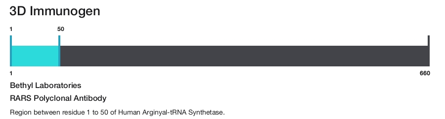 RARS Polyclonal Antibody