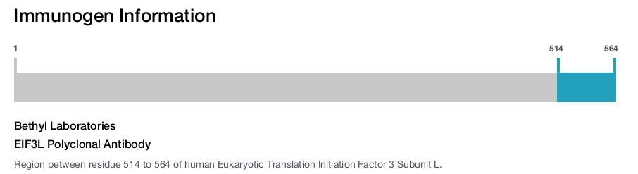 EIF3L Polyclonal Antibody