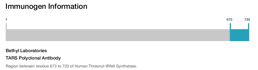 TARS Polyclonal Antibody