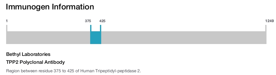TPP2 Polyclonal Antibody