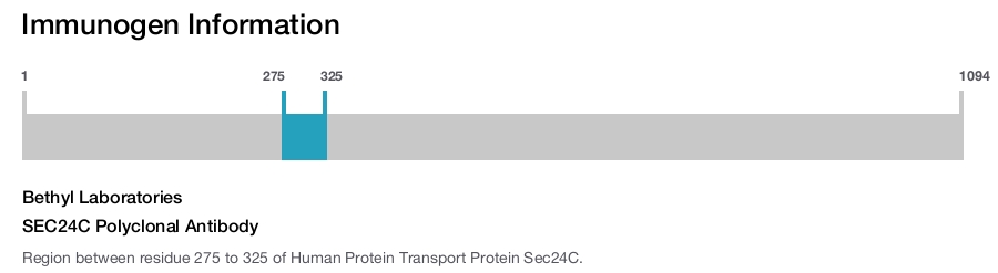 SEC24C Polyclonal Antibody