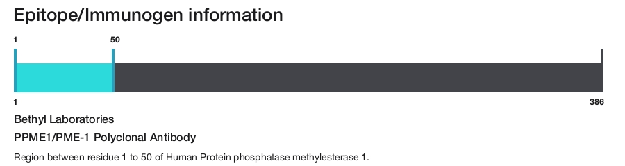 PPME1/PME-1 Polyclonal Antibody