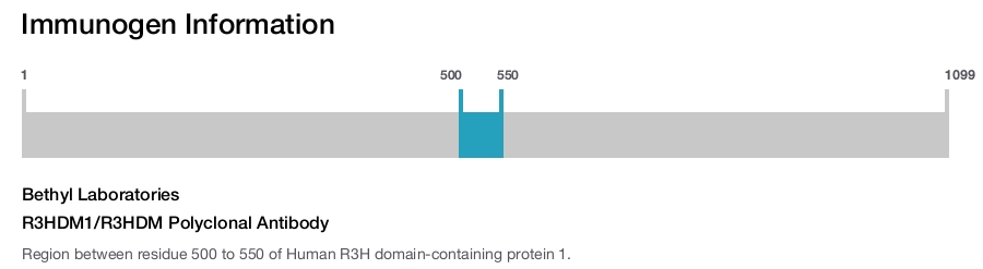 R3HDM1/R3HDM Polyclonal Antibody