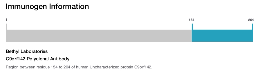 C9orf142 Polyclonal Antibody