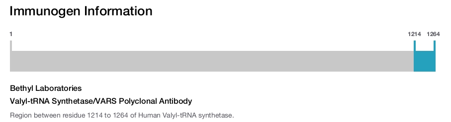 Valyl-tRNA Synthetase/VARS Polyclonal Antibody