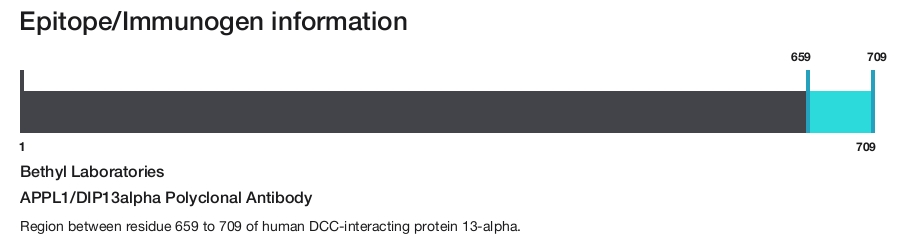 APPL1/DIP13alpha Polyclonal Antibody