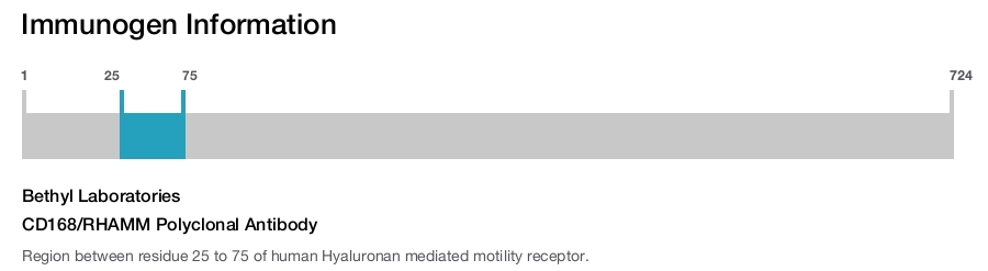 CD168/RHAMM Polyclonal Antibody