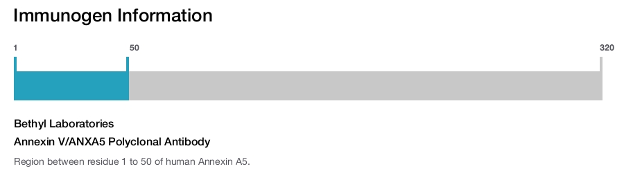 Annexin V/ANXA5 Polyclonal Antibody