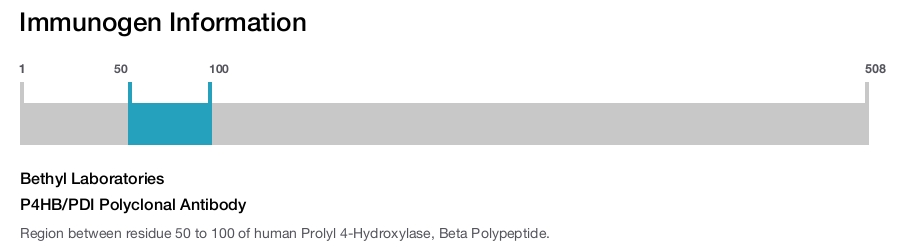 P4HB/PDI Polyclonal Antibody
