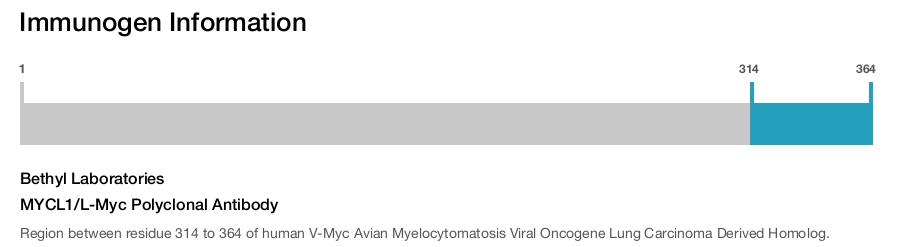 MYCL1/L-Myc Polyclonal Antibody