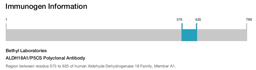 ALDH18A1/P5CS Polyclonal Antibody