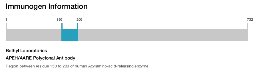 APEH/AARE Polyclonal Antibody