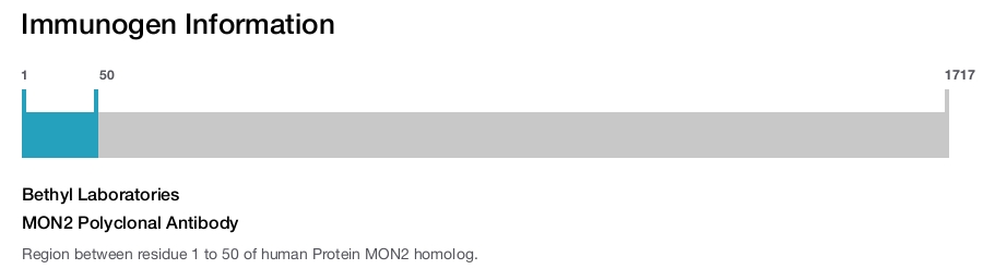 MON2 Polyclonal Antibody