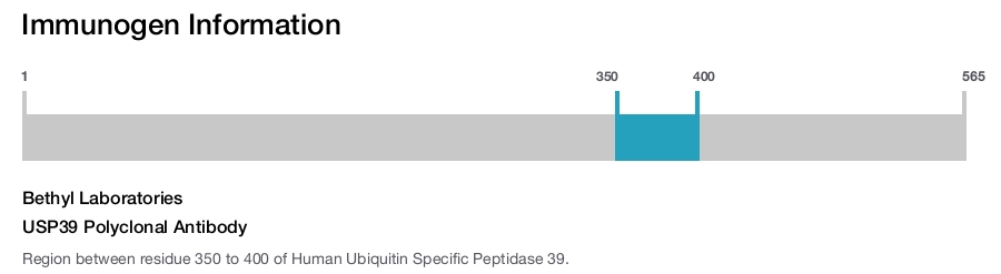 USP39 Polyclonal Antibody
