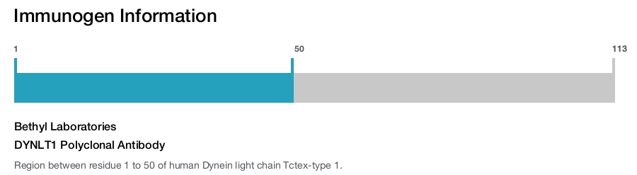 DYNLT1 Polyclonal Antibody