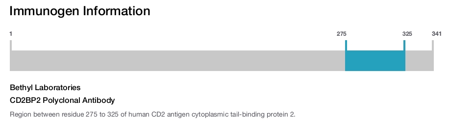 CD2BP2 Polyclonal Antibody