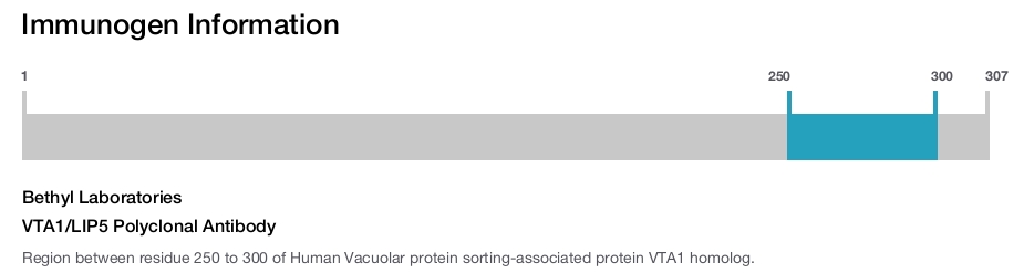 VTA1/LIP5 Polyclonal Antibody