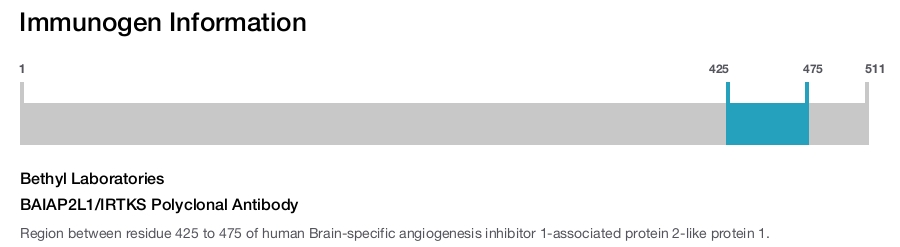 BAIAP2L1/IRTKS Polyclonal Antibody