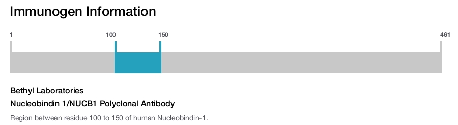 Nucleobindin 1/NUCB1 Polyclonal Antibody