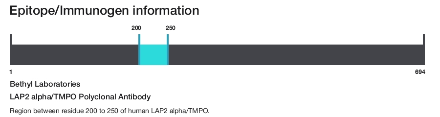 LAP2 alpha/TMPO Polyclonal Antibody