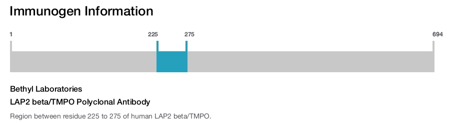 LAP2 beta/TMPO Polyclonal Antibody