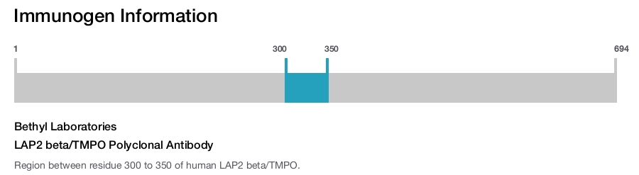 LAP2 beta/TMPO Polyclonal Antibody