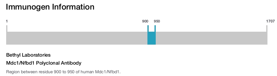 Mdc1/Nfbd1 Polyclonal Antibody