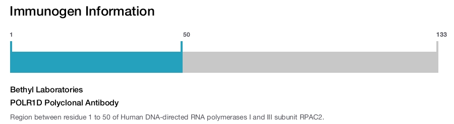 POLR1D Polyclonal Antibody