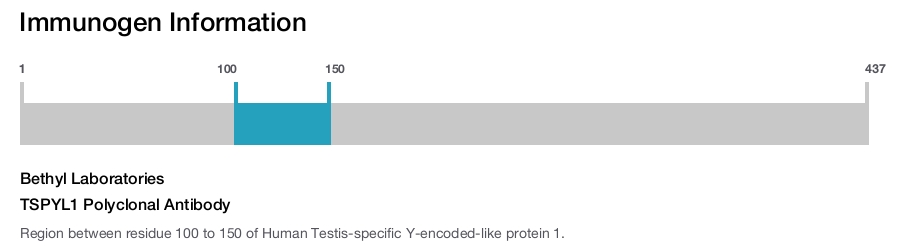 TSPYL1 Polyclonal Antibody