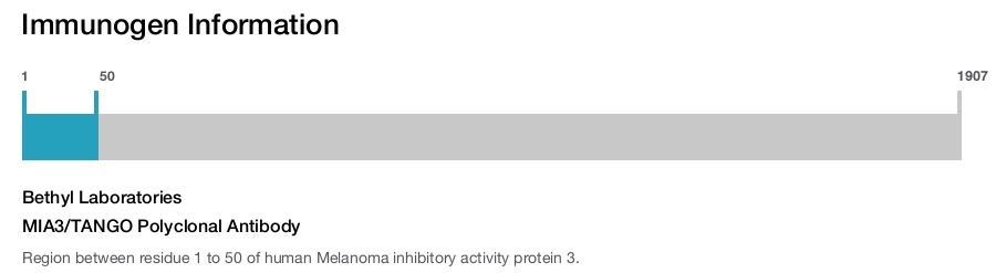MIA3/TANGO Polyclonal Antibody
