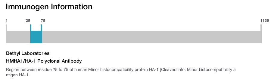 HMHA1/HA-1 Polyclonal Antibody
