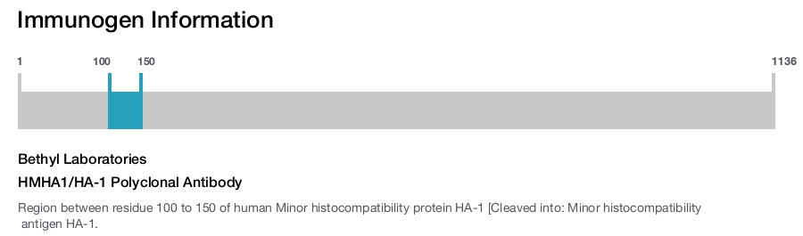 HMHA1/HA-1 Polyclonal Antibody