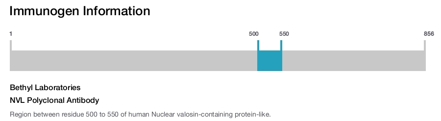 NVL Polyclonal Antibody