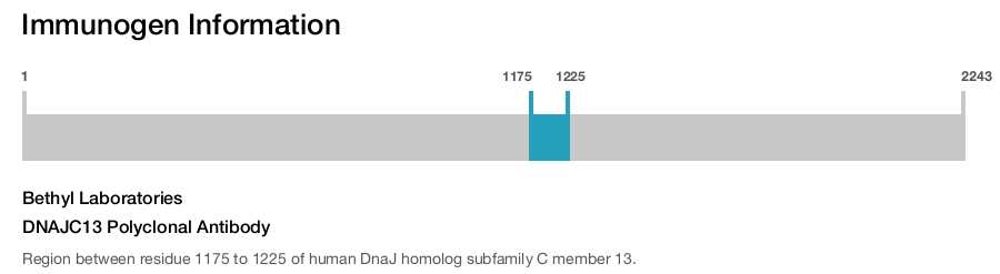 DNAJC13 Polyclonal Antibody
